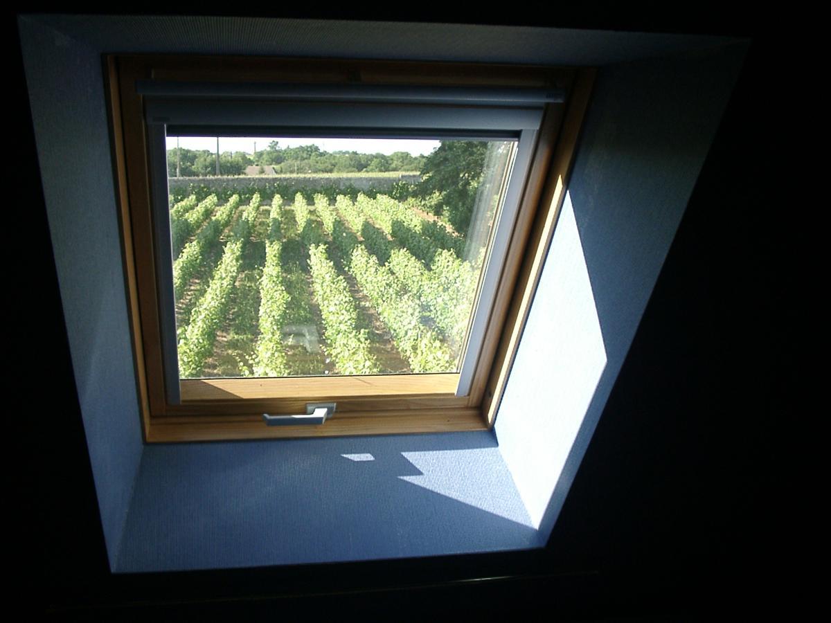فوفري Au Clos De L'Epinay المظهر الخارجي الصورة